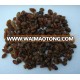 Dried Brown Seedless Raisin