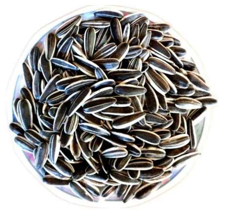 all types Chinese roasted sunflower seeds, black jumbo sunflower seeds