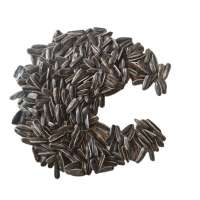 High Quality of New Crop sunflower seeds 361 From Inner Mongolia China